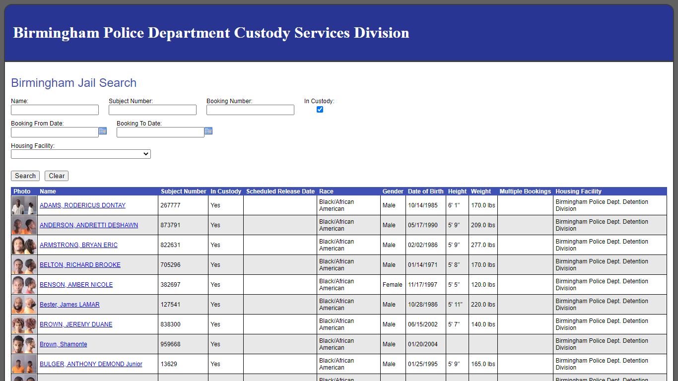 Birmingham Jail Search